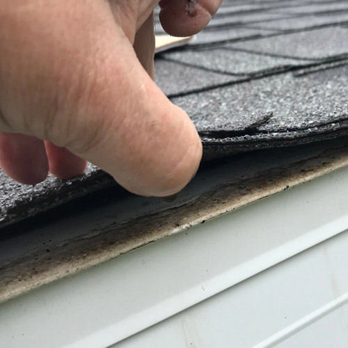 Shingle Damage
